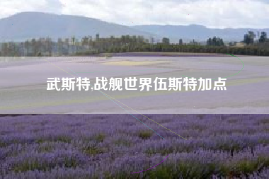 武斯特,战舰世界伍斯特加点