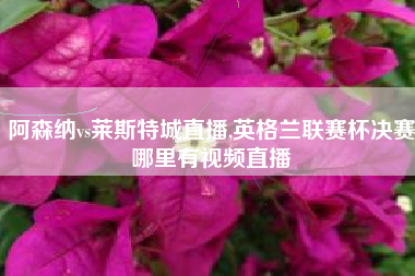 阿森纳vs莱斯特城直播,英格兰联赛杯决赛哪里有视频直播