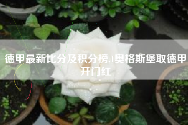德甲最新比分及积分榜,1奥格斯堡取德甲开门红