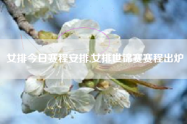 女排今日赛程安排,女排世锦赛赛程出炉