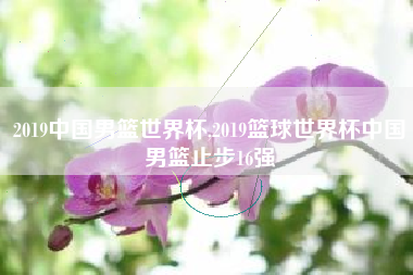 2019中国男篮世界杯,2019篮球世界杯中国男篮止步16强
