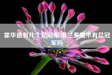 霍华德有几个总冠军,奥兰多魔术有总冠军吗