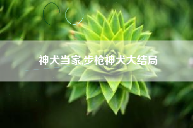 神犬当家,步枪神犬大结局