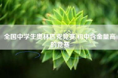 全国中学生奥林匹克竞赛,初中含金量高的竞赛