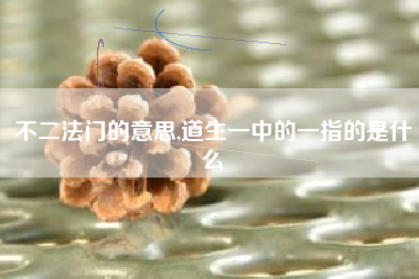 不二法门的意思,道生一中的一指的是什么