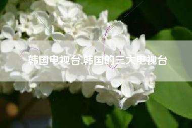 韩国电视台,韩国的三大电视台