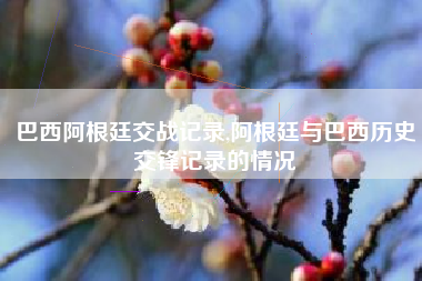 巴西阿根廷交战记录,阿根廷与巴西历史交锋记录的情况