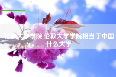 伦敦大学学院,伦敦大学学院相当于中国什么大学