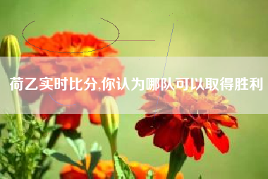 荷乙实时比分,你认为哪队可以取得胜利