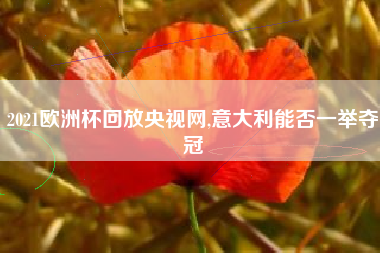 2021欧洲杯回放央视网,意大利能否一举夺冠