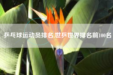 乒乓球运动员排名,世乒世界排名前100名