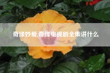 奇缘妙爱,奇缘电视剧全集讲什么