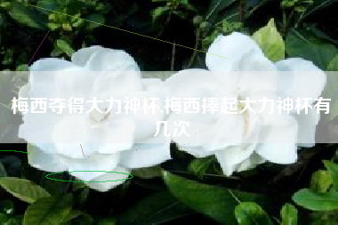 梅西夺得大力神杯,梅西捧起大力神杯有几次