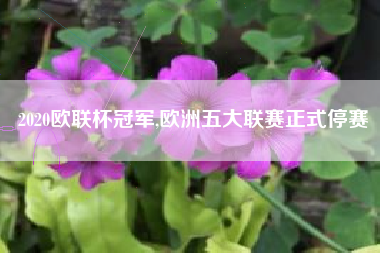 2020欧联杯冠军,欧洲五大联赛正式停赛