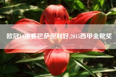 欧冠14决赛巴萨迎利好,2015西甲金靴奖