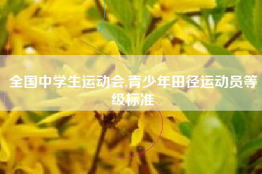 全国中学生运动会,青少年田径运动员等级标准