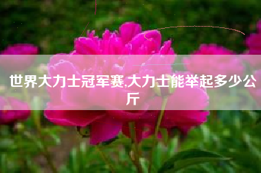 世界大力士冠军赛,大力士能举起多少公斤