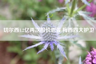 切尔西1.2亿再次报价恩佐,梅西四大护卫