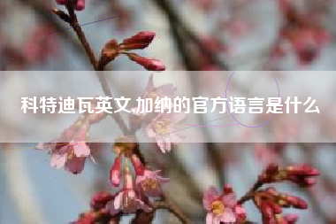科特迪瓦英文,加纳的官方语言是什么