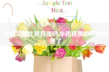 中超足球比赛直播网,中超直播都开始收费了