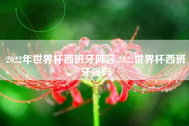 2022年世界杯西班牙阵容,2022世界杯西班牙强吗