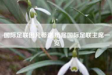 国际足联因凡蒂诺,历届国际足联主席一览