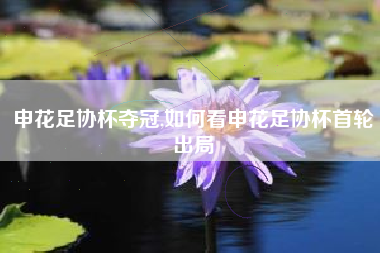 申花足协杯夺冠,如何看申花足协杯首轮出局