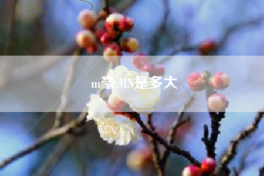 m豪,MN是多大