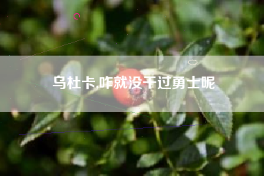 乌杜卡,咋就没干过勇士呢