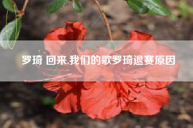 罗琦 回来,我们的歌罗琦退赛原因