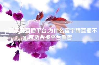 lpl夏季赛直播平台,为什么董宇辉直播不带货会被平台警告