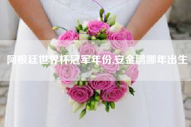阿根廷世界杯冠军年份,安金鹏哪年出生