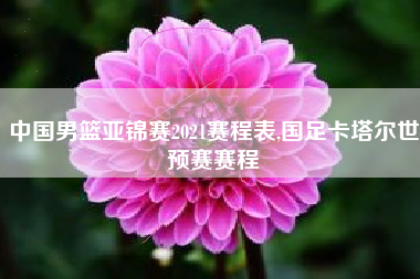 中国男篮亚锦赛2021赛程表,国足卡塔尔世预赛赛程