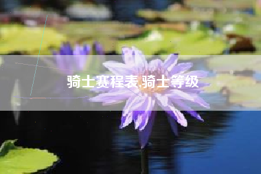 骑士赛程表,骑士等级