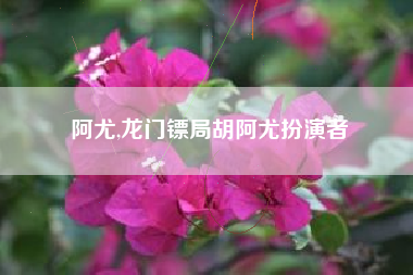 阿尤,龙门镖局胡阿尤扮演者