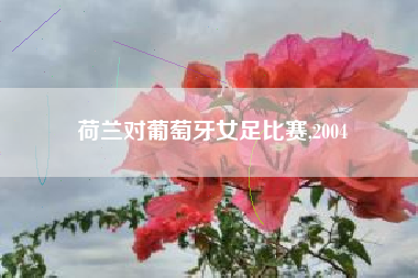 荷兰对葡萄牙女足比赛,2004