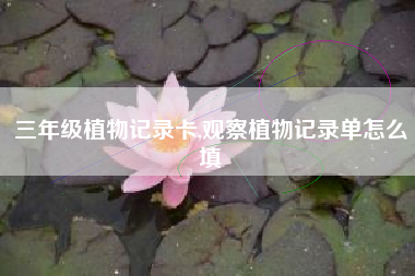 三年级植物记录卡,观察植物记录单怎么填