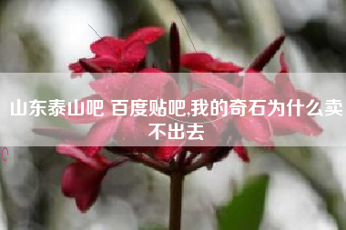 山东泰山吧 百度贴吧,我的奇石为什么卖不出去