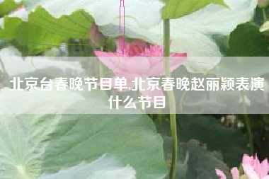 北京台春晚节目单,北京春晚赵丽颖表演什么节目