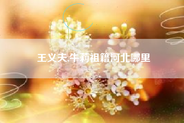 王义夫,牛莉祖籍河北哪里