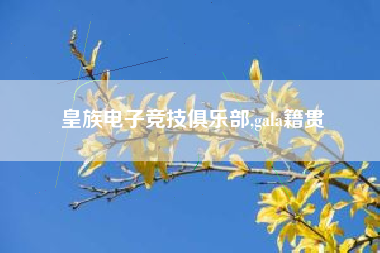 皇族电子竞技俱乐部,gala籍贯