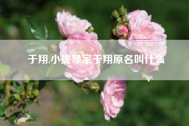 于翔,小提琴家于翔原名叫什么