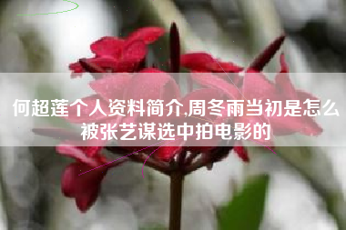 何超莲个人资料简介,周冬雨当初是怎么被张艺谋选中拍电影的