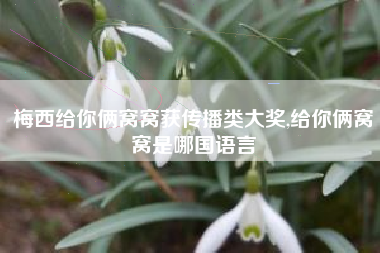 梅西给你俩窝窝获传播类大奖,给你俩窝窝是哪国语言