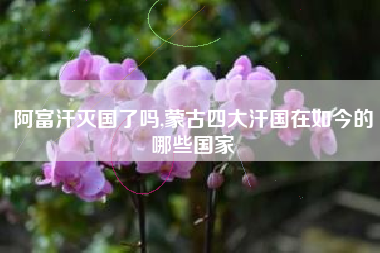 阿富汗灭国了吗,蒙古四大汗国在如今的哪些国家