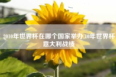 2010年世界杯在哪个国家举办,10年世界杯意大利战绩