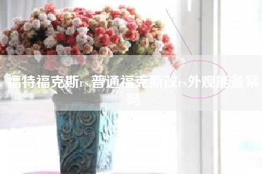 福特福克斯rs,普通福克斯改rs外观能备案吗