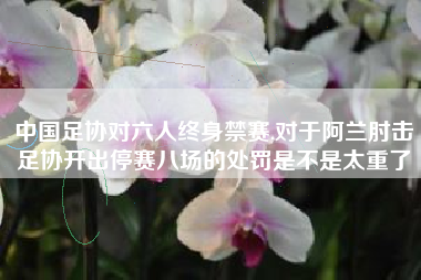 中国足协对六人终身禁赛,对于阿兰肘击足协开出停赛八场的处罚是不是太重了