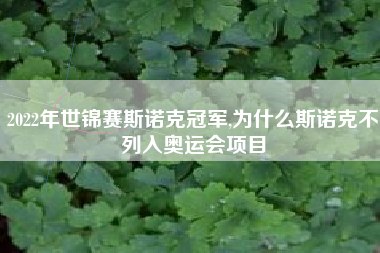 2022年世锦赛斯诺克冠军,为什么斯诺克不列入奥运会项目