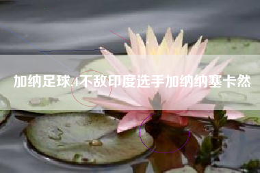 加纳足球,4不敌印度选手加纳纳塞卡然